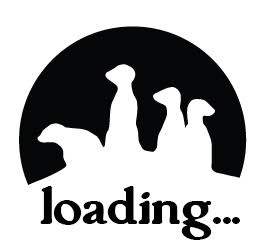 Loading Content..